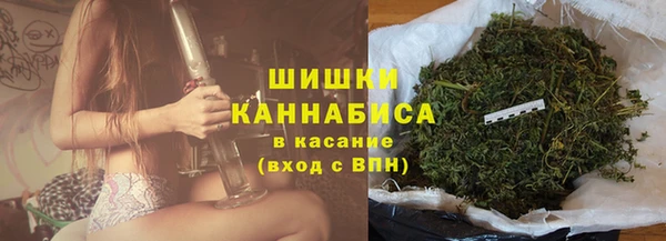 гашик Арсеньев