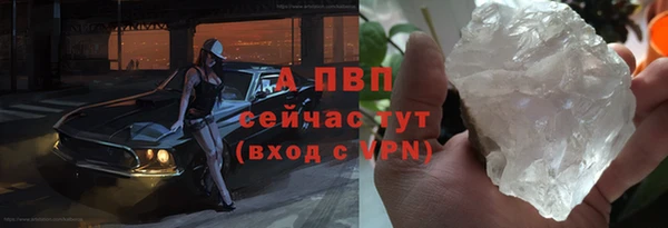 гашик Арсеньев