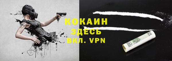гашик Арсеньев
