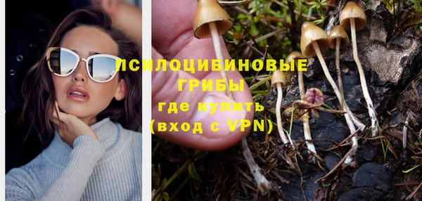 прущие крисы Армянск