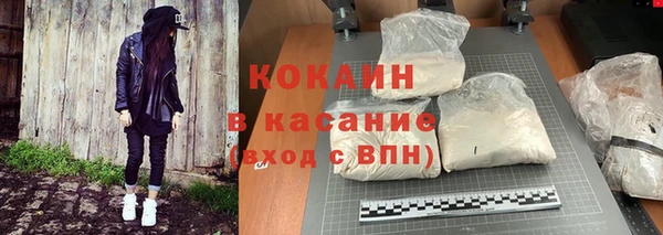 гашик Арсеньев